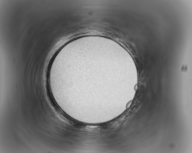 X0000098110055200805021142