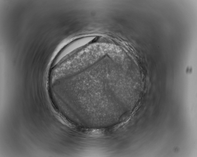 X0000098110056200805021142