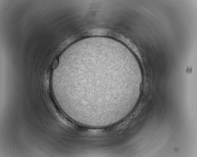 X0000098110057200805021142