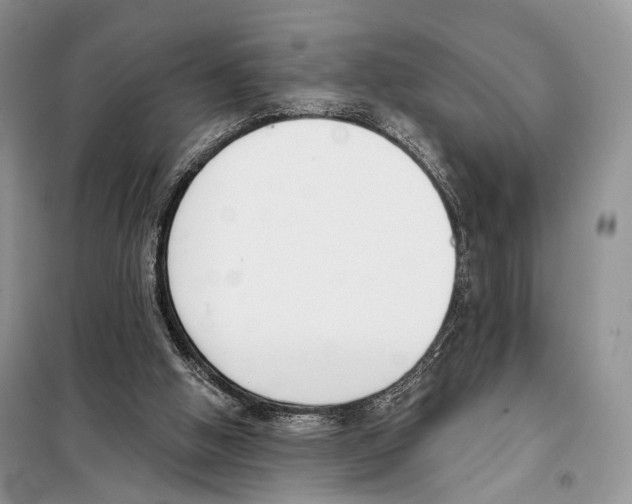 X0000098110058200805021142