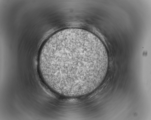 X0000098110059200805021142