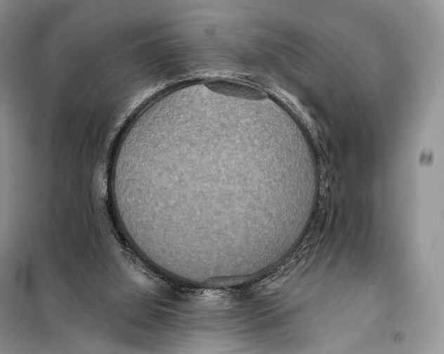 X0000098110060200805021142