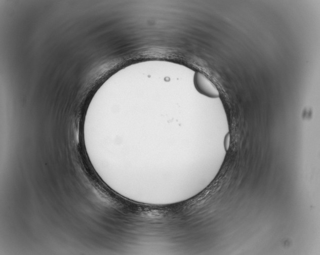 X0000098110062200805021142