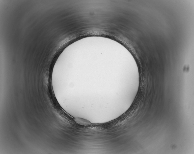 X0000098110063200805021142