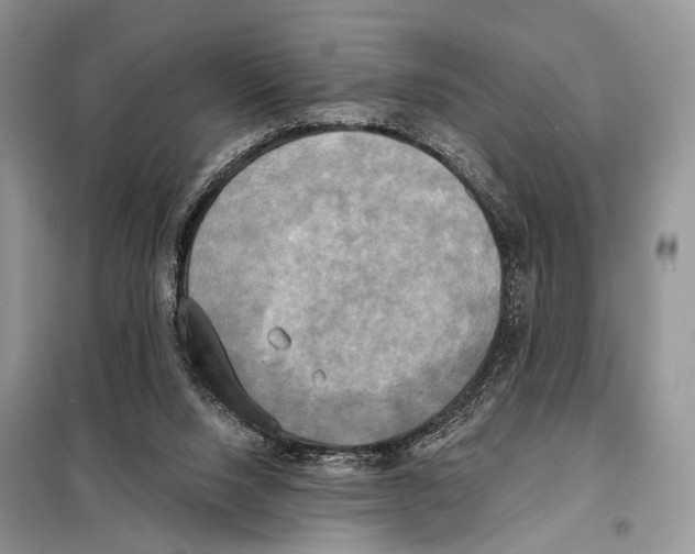 X0000098110064200805021142