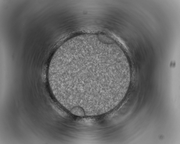 X0000098110065200805021142