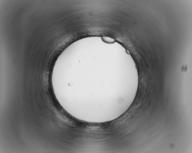 X0000098110066200805021142