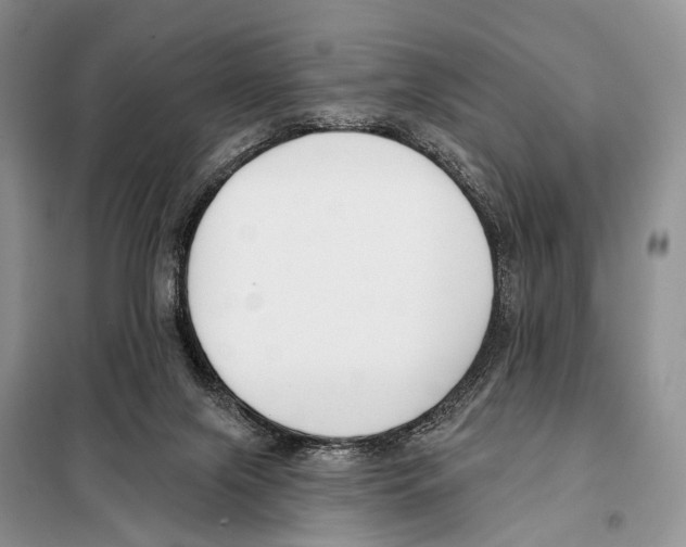 X0000098110071200805021143