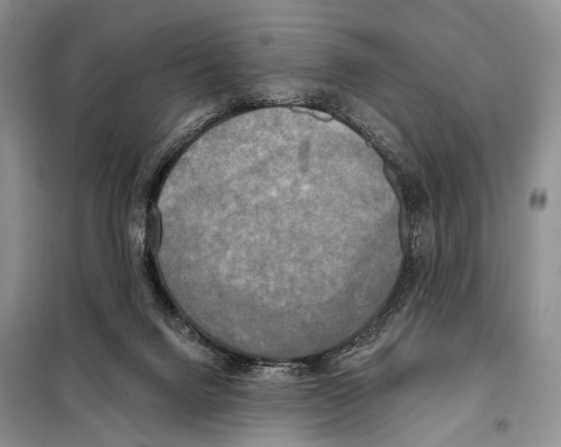 X0000098110072200805021143