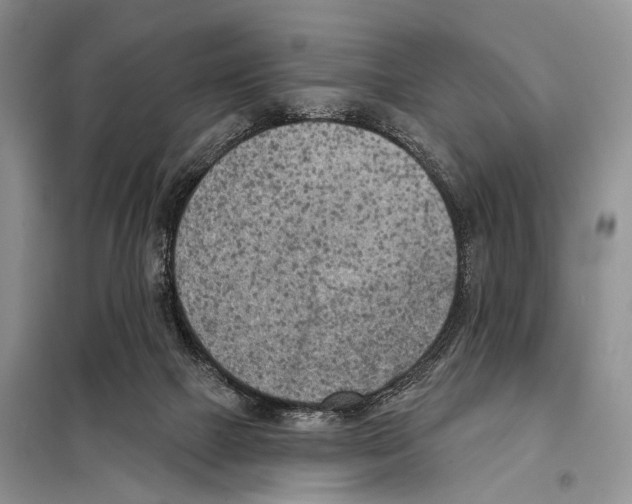 X0000098110073200805021143