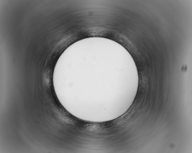 X0000098110074200805021143