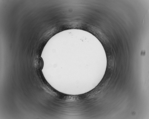 X0000098110077200805021143