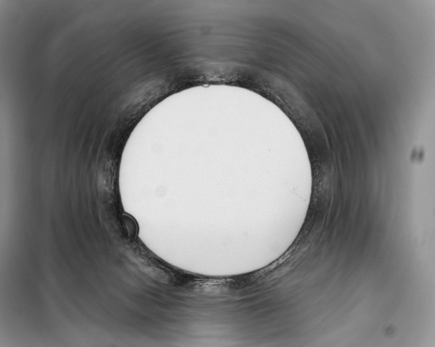 X0000098110078200805021143