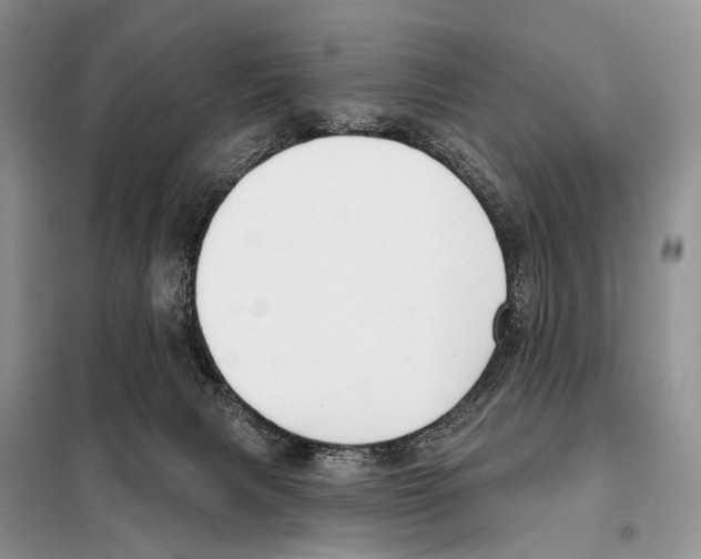 X0000098110079200805021143