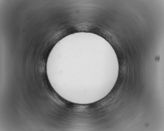 X0000098110081200805021143