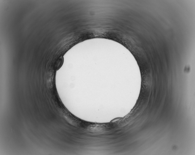 X0000098110082200805021143