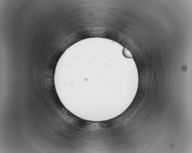 X0000098110083200805021143