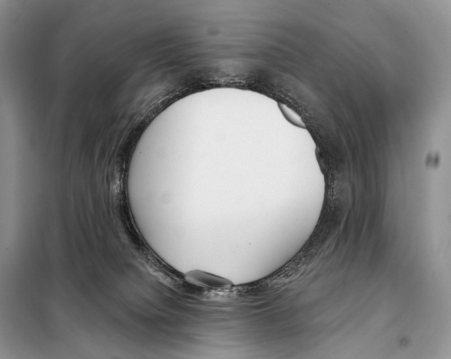 X0000098110084200805021143