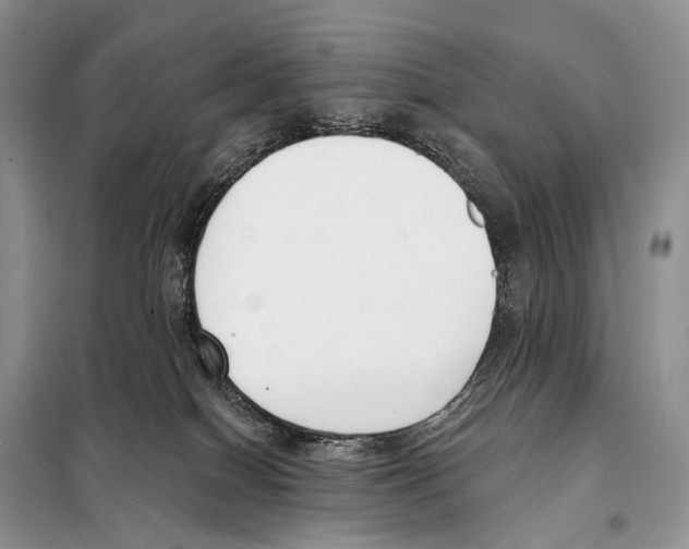 X0000098110086200805021143