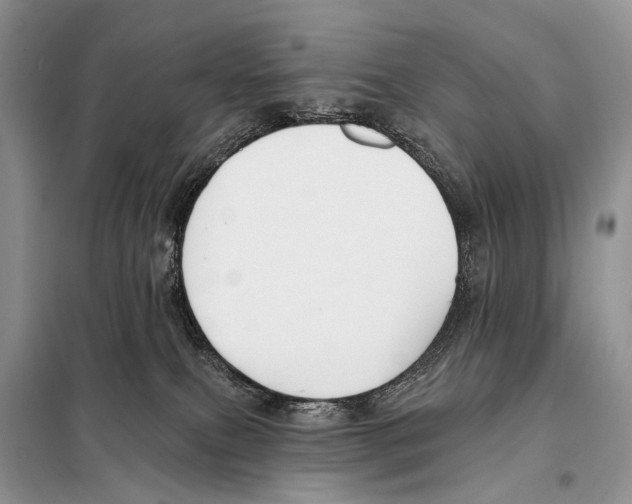 X0000098110087200805021143