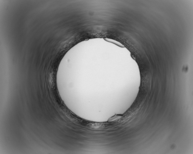 X0000098110088200805021143