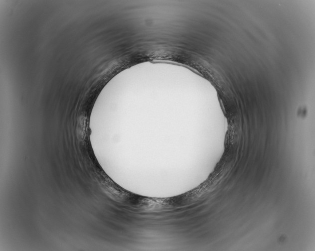 X0000098110093200805021143