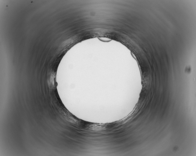 X0000098110094200805021143