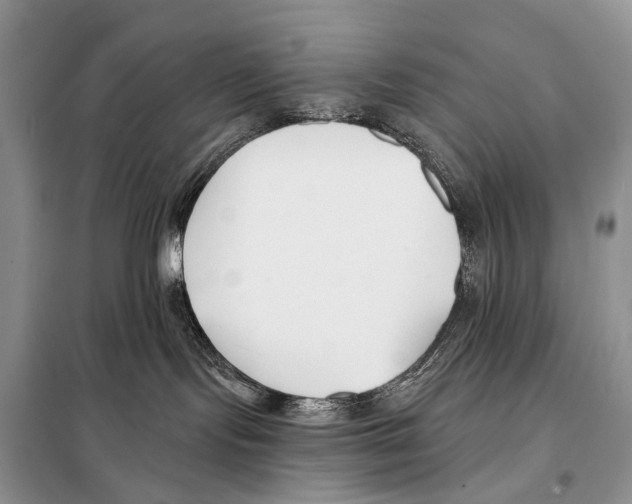 X0000098110095200805021143