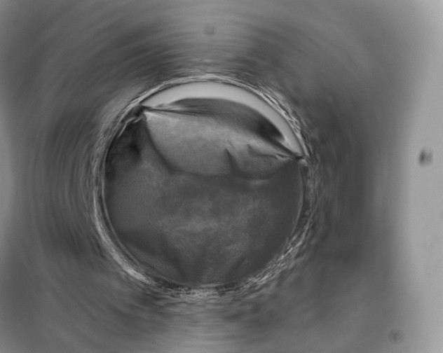 X0000098110097200805021142