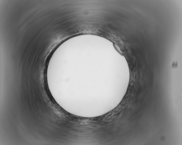 X0000098110098200805021142