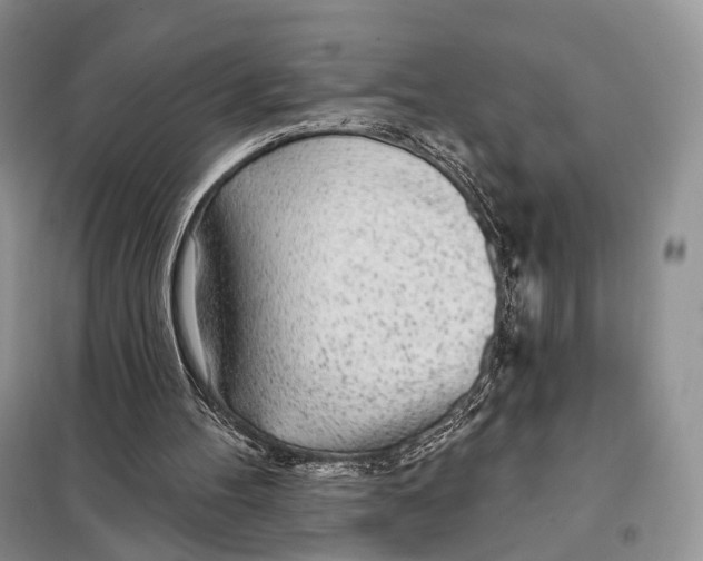 X0000098110100200805021142