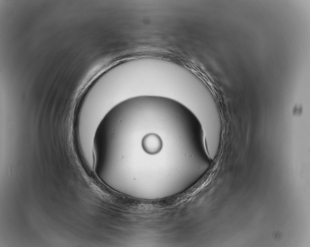 X0000098110101200805021142