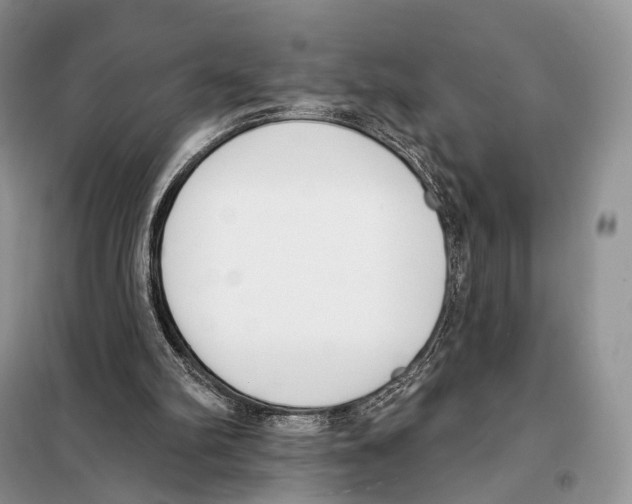 X0000098110102200805021142