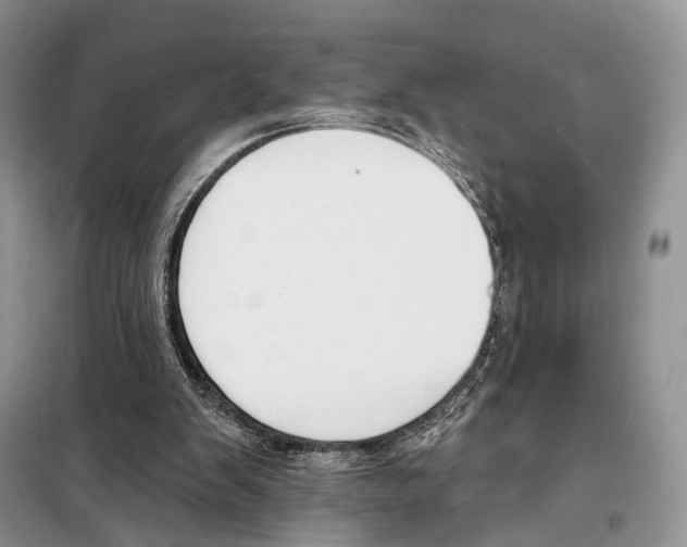 X0000098110103200805021142