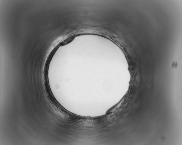 X0000098110104200805021142