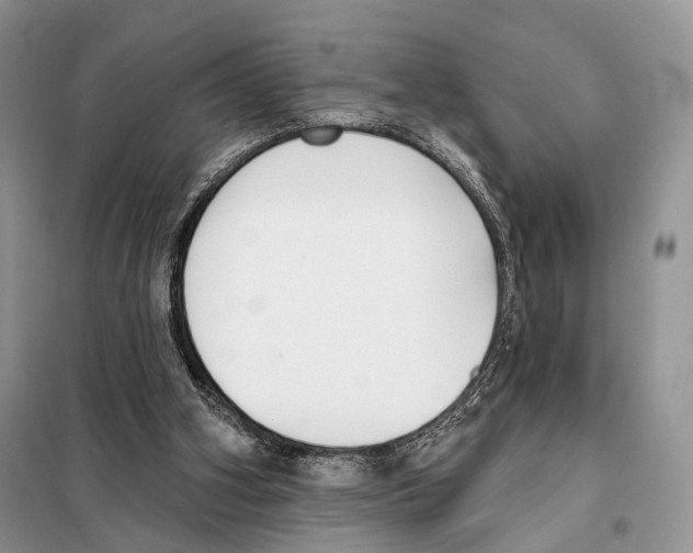 X0000098110106200805021142