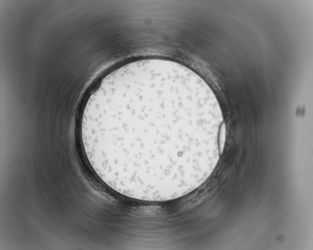 X0000098110108200805021142