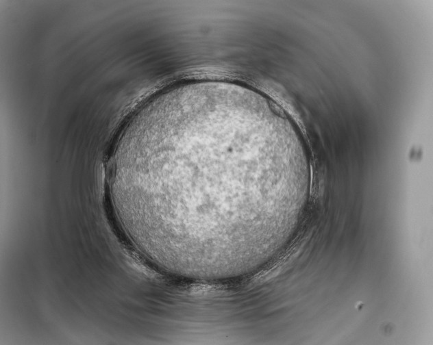 X0000098110109200805021142