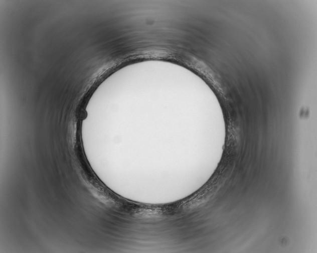 X0000098110110200805021142