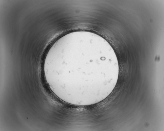 X0000098110112200805021142