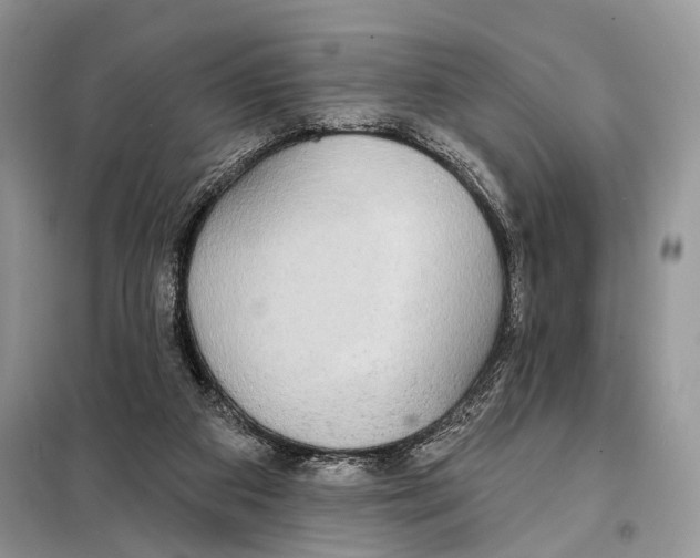 X0000098110113200805021142