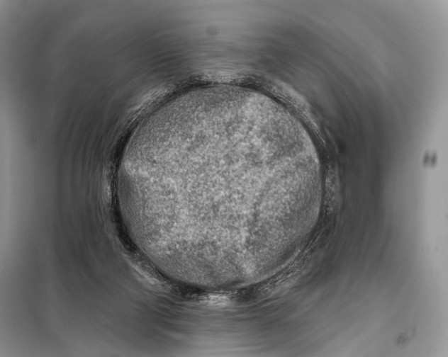 X0000098110114200805021142