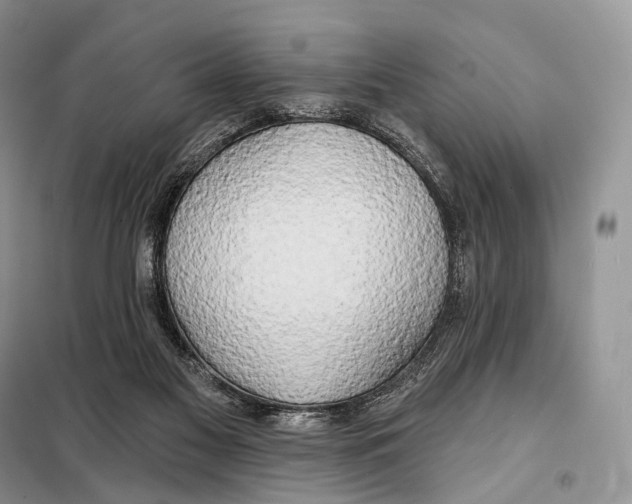 X0000098110117200805021142