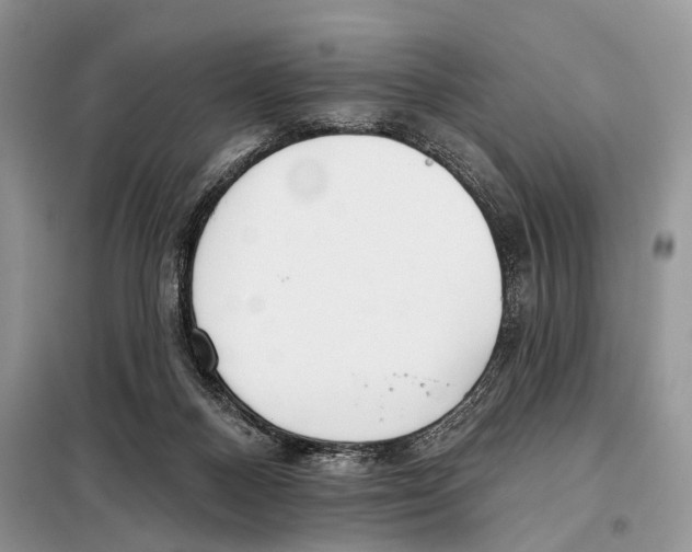 X0000098110120200805021142