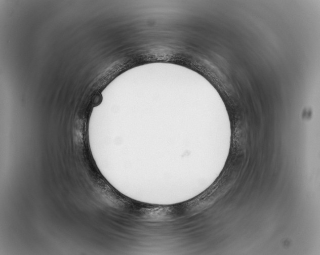 X0000098110122200805021142