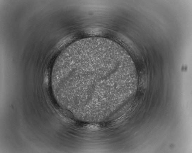 X0000098110124200805021142