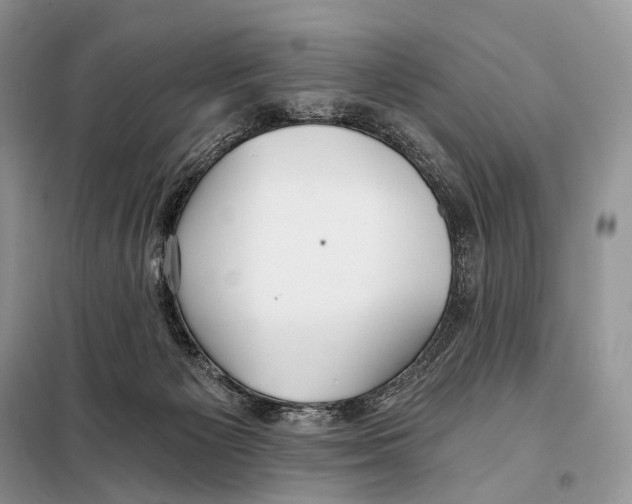 X0000098110125200805021142