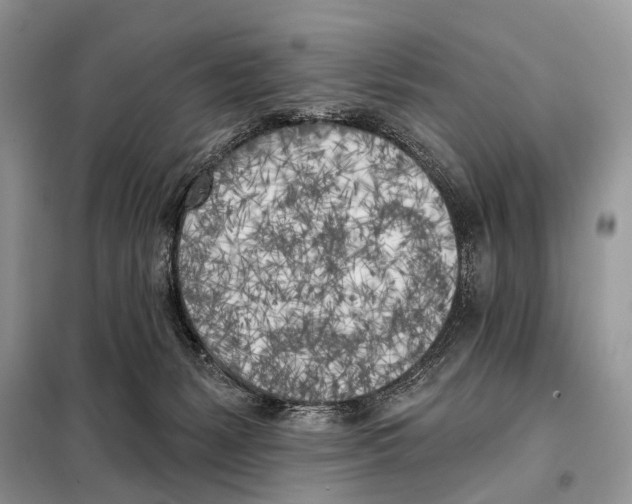 X0000098110127200805021142