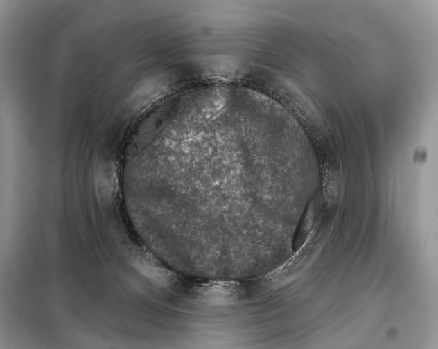 X0000098110128200805021142