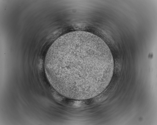 X0000098110130200805021142